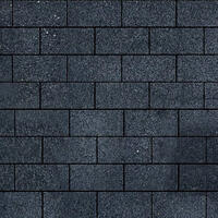  Тротуарный камень Steinrus Прямоугольник Лайн 200х100х60 мм Неро BackWash: внешний вид